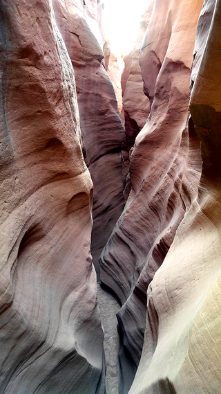 Illustration for article titled Desert Canyons and Motorbikes